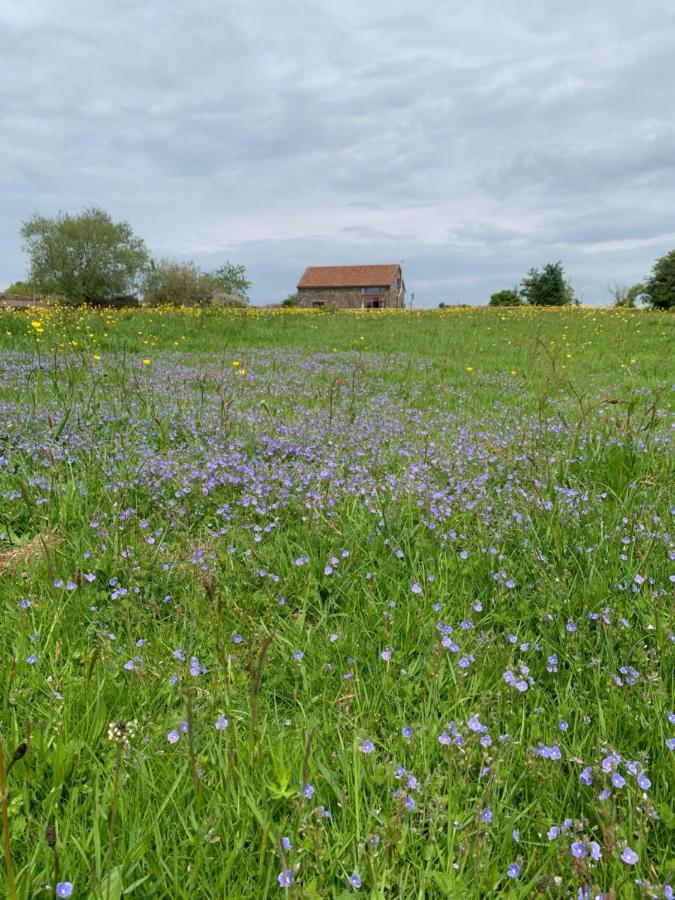 Edge Barn Villa Woolaston Kültér fotó